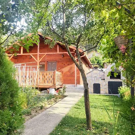 Veli * ساباريفا بانيا