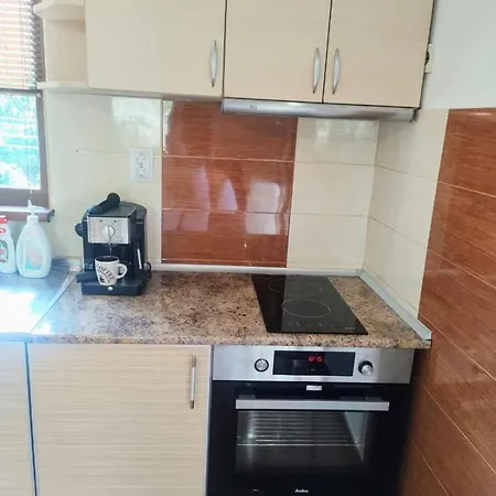 Tatil Evi Veli Sapareva Banya